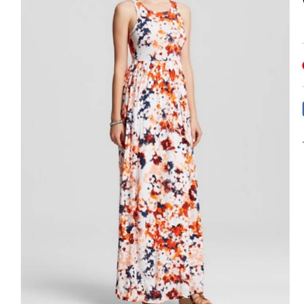 Splendid XS Waterville Floral Maxi Dress
